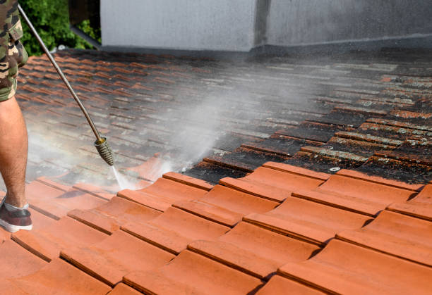 Best Commercial Building Pressure Washing  in Fox Island, WA